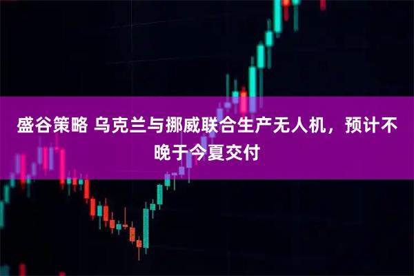 盛谷策略 乌克兰与挪威联合生产无人机，预计不晚于今夏交付
